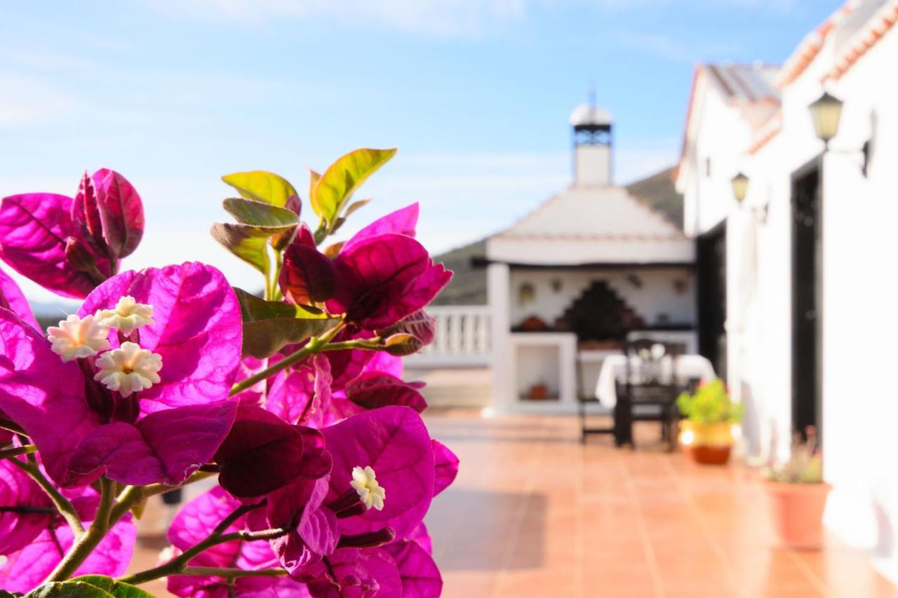 Casa Clara 3 Villa Conil Ngoại thất bức ảnh